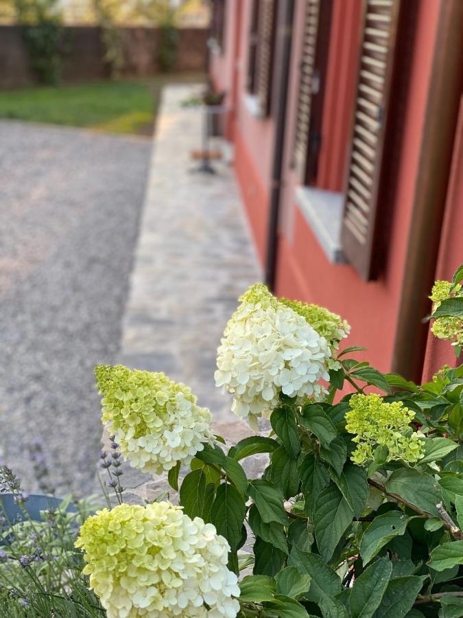 Il Mallo Verde - Lake Como B&B Mandello del Lario Exteriör bild