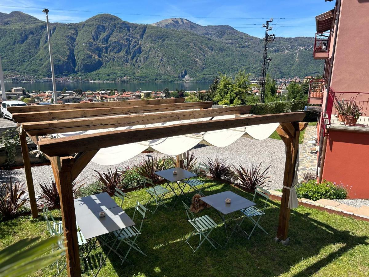 Il Mallo Verde - Lake Como B&B Mandello del Lario Exteriör bild