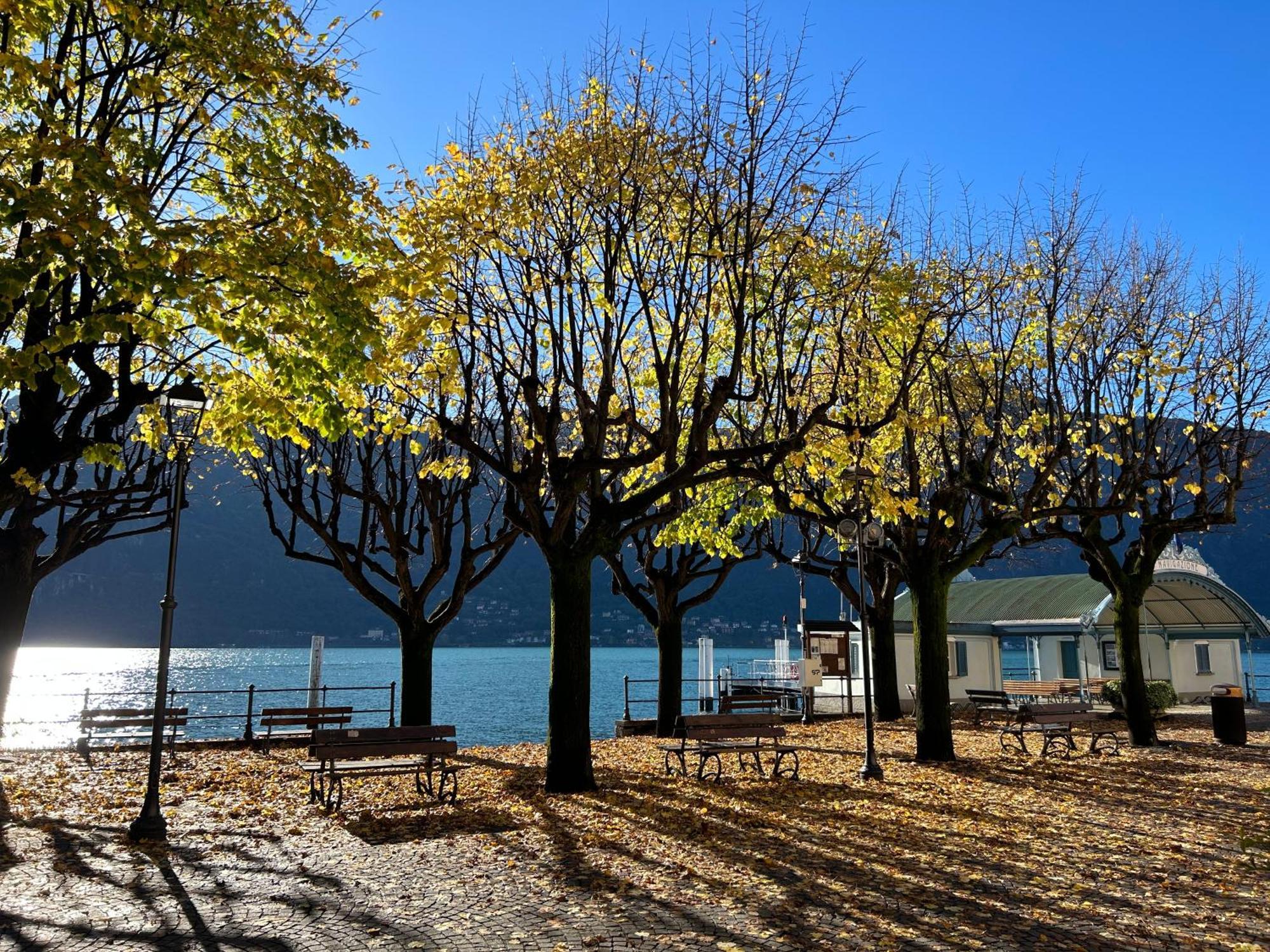 Il Mallo Verde - Lake Como B&B Mandello del Lario Exteriör bild